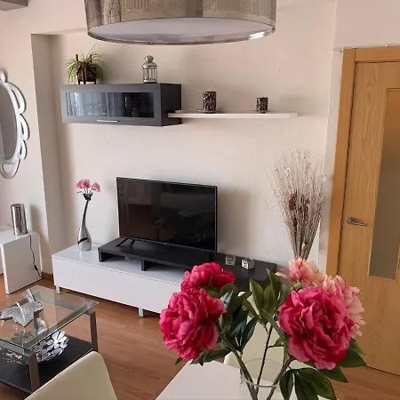 Appartement Primera Linea De Playa Paseo Maritimo Perla 5 *