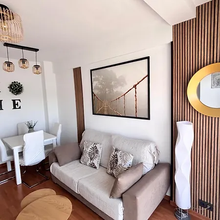 Primera Linea De Playa Paseo Maritimo Perla 5